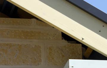soffit repair Long Sandall