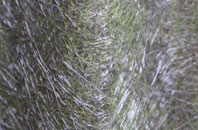 Long Sandall fibreglass roof work